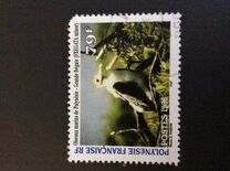 [Marine Birds, type ZN]