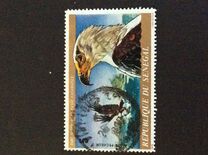 [Animals of Basse Casamance National Park, type PB]