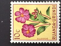 [Indigenous Flora, type AW]