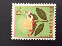 [Indigenous Flora, type AX]