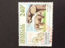 [Animals of Niokolo-Badiar National Park, тип AWC]