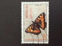 [Butterflies, type ATJ]