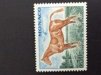 [Horses, 유형 ALT]