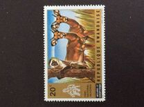 [Akagera National Park, Вид MC]