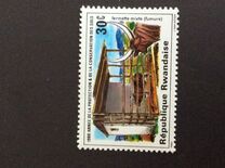 [Soil Protection and Conservation Year, jenis AIN]