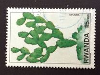 [Native Plants, प्रकार AXD]