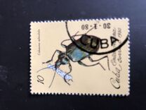 [Insects, tip CZN]
