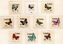 [Butterflies, type BBB]