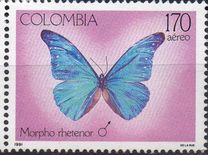 [Butterflies, type BGG]