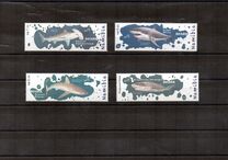 [Marine Life - Sharks, Tip AFE]