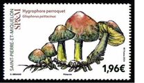 [Mushroom, type EKP]