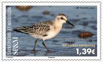 [Birds - Sanderling, type EKX]