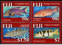 [Coral Trout, Tip AQH]