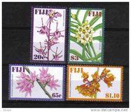[Indigenous Orchids, Tip AQC]