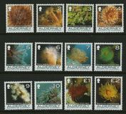 [Marine Life - Corals and Anemones, Tipe JZ]