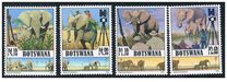 [Elephants in Botswana, type AGP]