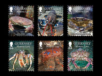 [Marine Life - Crustaceans, type BDD]
