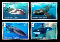 [Marine Life - Whales, tyyppi AVZ]
