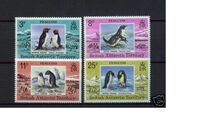 [Penguins, 유형 BH]