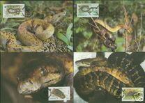 [WWF - Jamaican Boas, Вид UY]