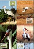[Wattled Crane, ประเภท OV]