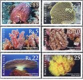 [Corals, type AFM]