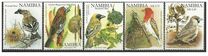 [Weaver Birds of Namibia, Tipi VS]