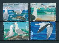 [Seagulls of Namibia, type ST]