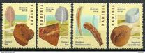 [Ediacaran Fossils, 類型 WN]