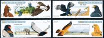 [Birds - Eagles, 유형 WZ]