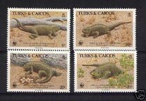 [Turks and Caicos Ground Iguana, type VY]