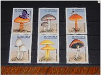 [Mushrooms, type BWY]