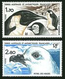 [Antarctic Wildlife, type FY]