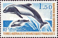 [Marine Mammals, type DD]