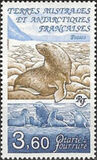 [Antarctic Fauna, Scrivi IW]