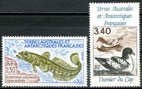 [Antarctic Fauna, type JK]