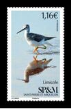 [Birds - Wader, type AGQ]