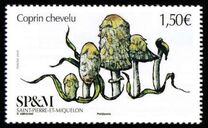 [Shaggy Mane, type AHG]