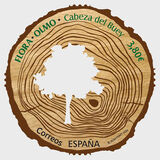 [Elm Trees of Our Lady of Belen, Cabeza de Buey, type HDO]