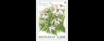 [Flowers - Niveol de Nice, type EEW]