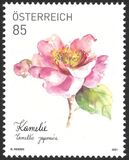 [Loyalty Bonus Stamps, tip DUS]