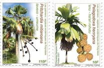 [Palm Tree Species of Polynesia, 类型 BBK]