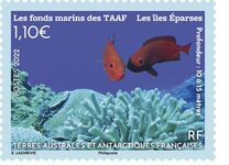 [The Seabed of TAAF, प्रकार AOL]