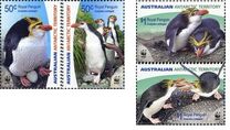 [WWF - Royal Penguins, Tüüp FM]