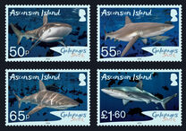 [Marine Life - Galapagos Shark (Carcharhinus galapagensis), प्रकार AVP]