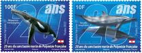 [The 20th Anniversary of the Marine Sanctuary of French Polynesia, tip BDA]