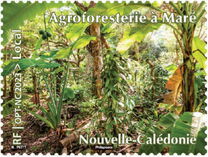[Agroforestry in Maré, tipas BDS]