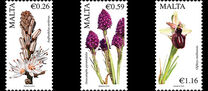 [Indigenous Flora, Typ DLN]