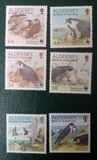 [Birds - The Peregrine Falcon, type EO]