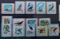 [Indigenous Birds, type DR]